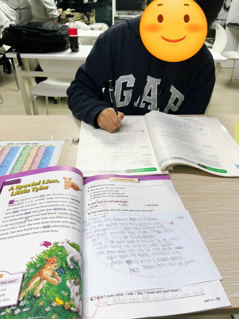평택 고덕 예비 중1 영어 준비 | 초6 가을부터 시작하는 중학교 영어 학습 전략 본문 이미지